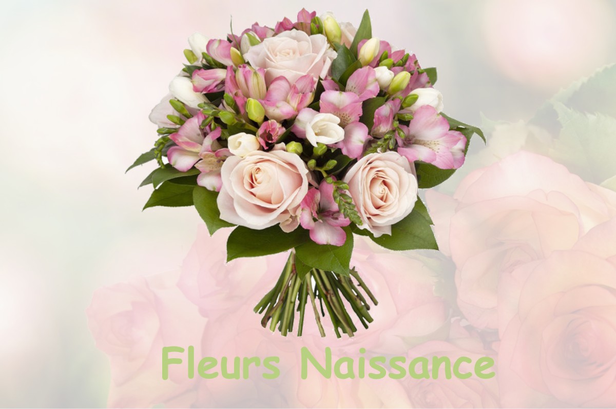 fleurs naissance FRAYSSINET-LE-GELAT