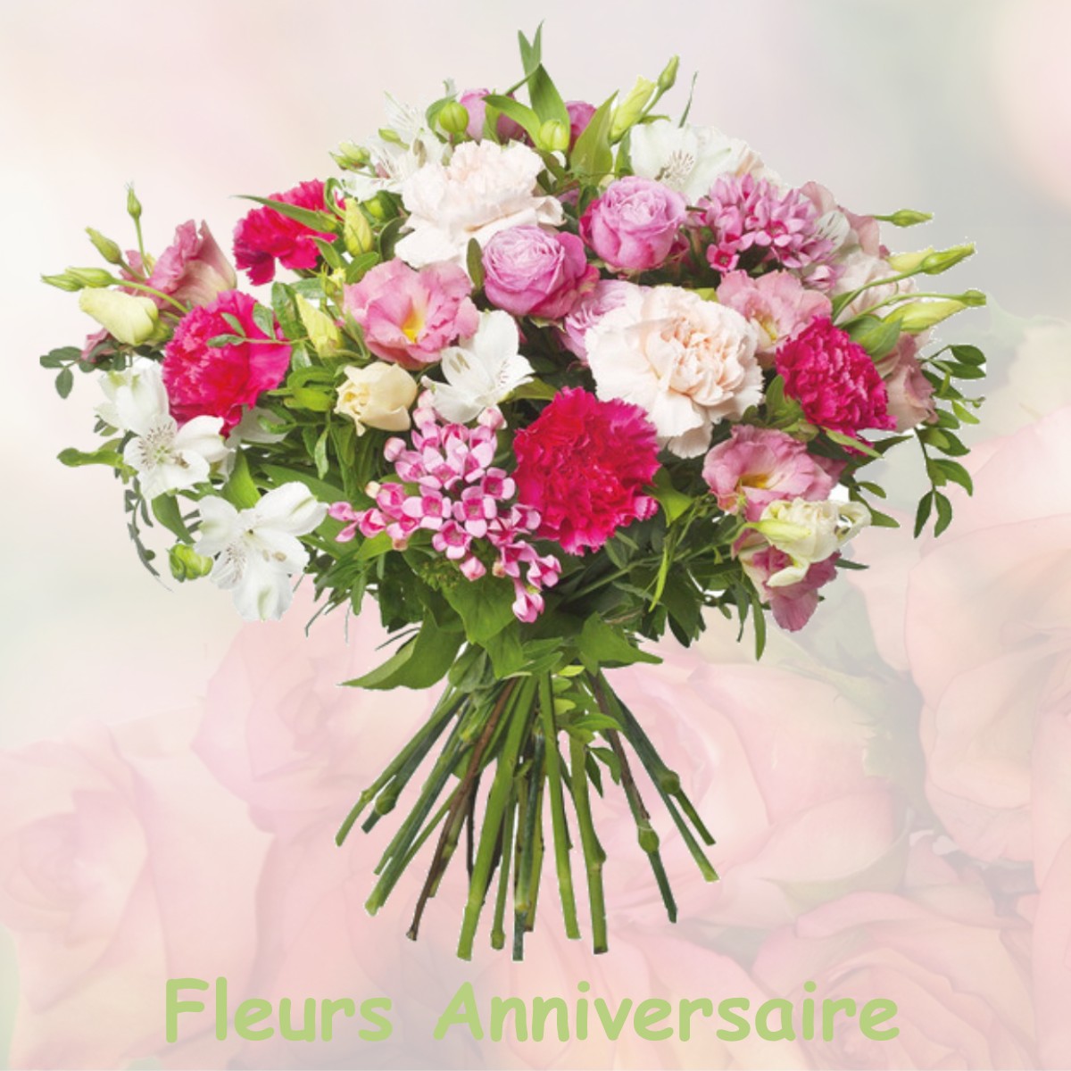 fleurs anniversaire FRAYSSINET-LE-GELAT